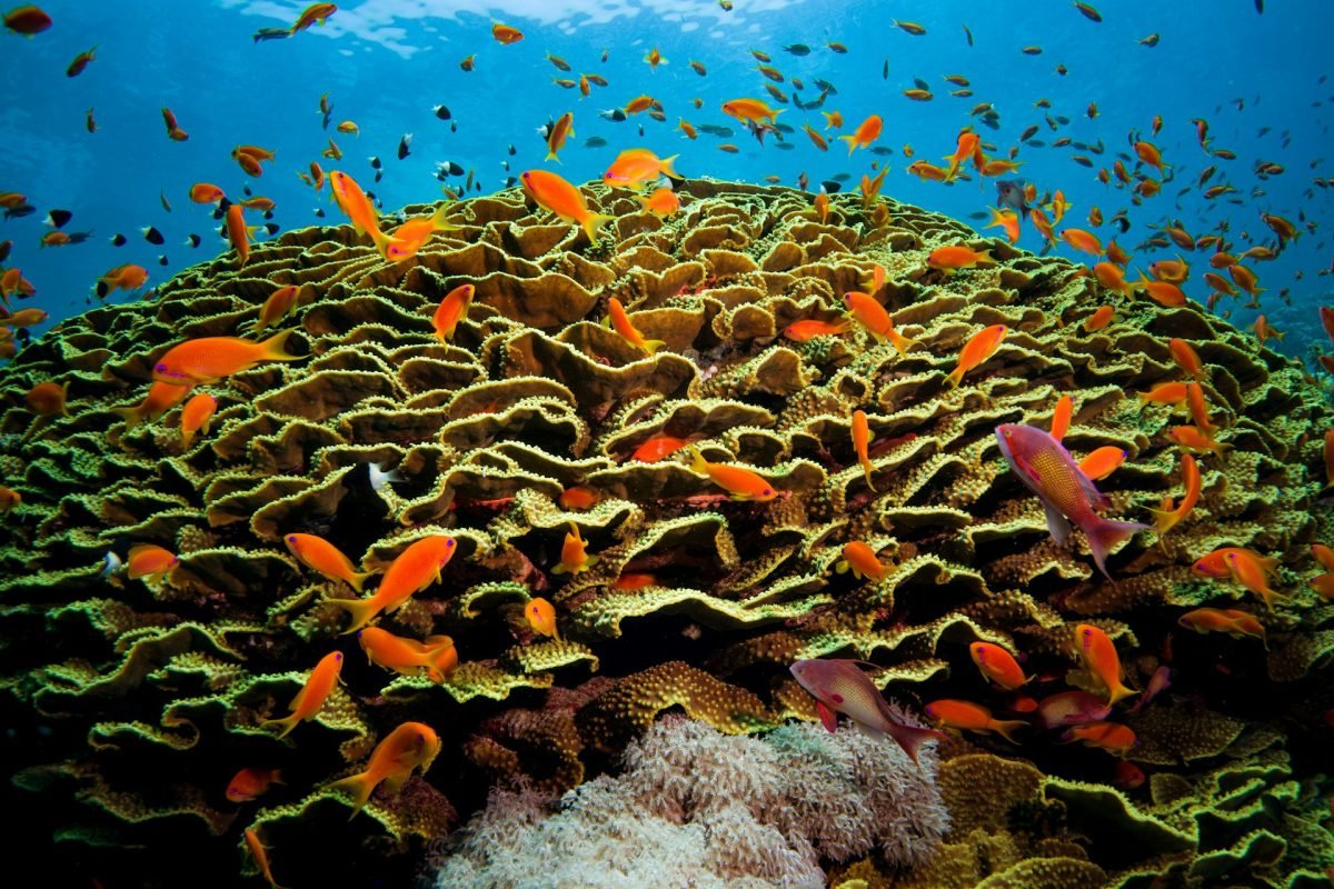 الغردقة
